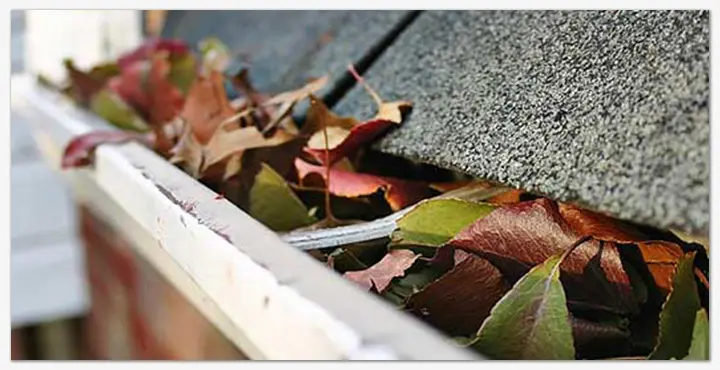 Gutters Cleaned